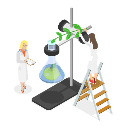 Female Scientist working in lab  Illustration