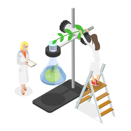 Female Scientist working in lab  Illustration