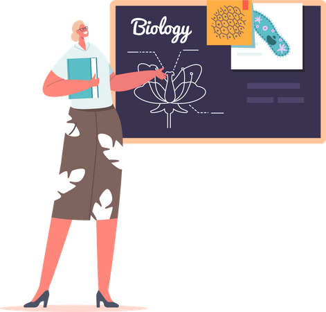 Female teacher teaching biology subject  Illustration