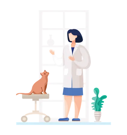 Female vet doctor checking pet cat Illustration