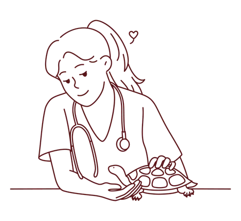 Female vet treating turtle  Illustration