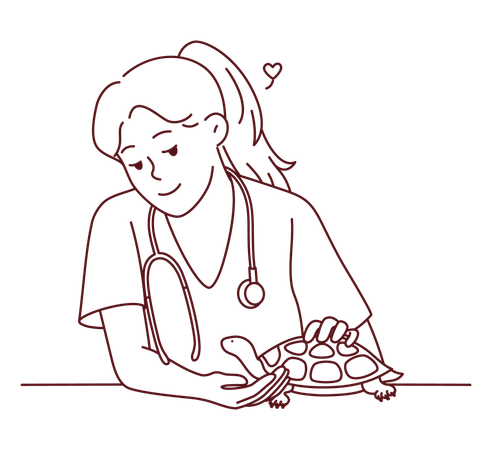 Female vet treating turtle  Illustration