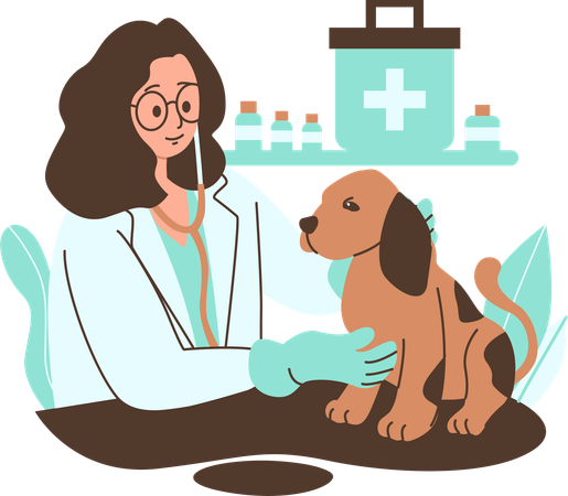 Female Veterinarian Examining A Dog In A Clinic  Illustration