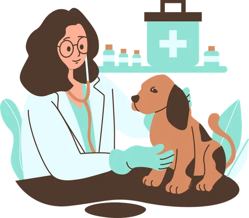 Female Veterinarian Examining A Dog In A Clinic  Illustration