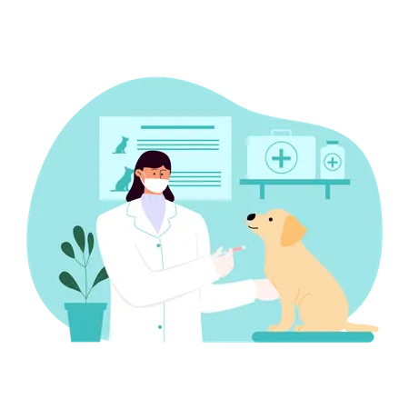 Female veterinary giving vaccine to dog  Illustration