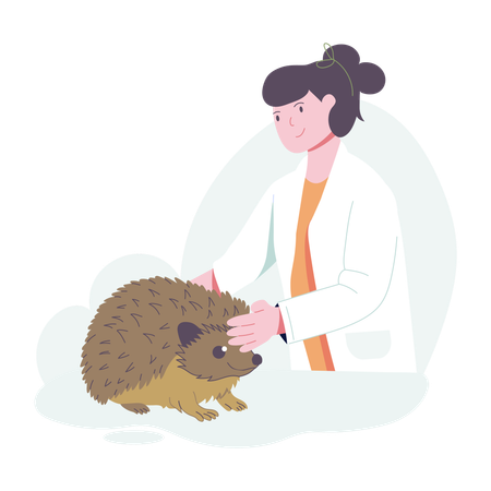 Female Veterinarian  Illustration