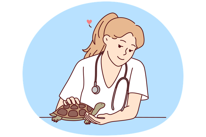 Female veterinarian take care of turtle  Illustration