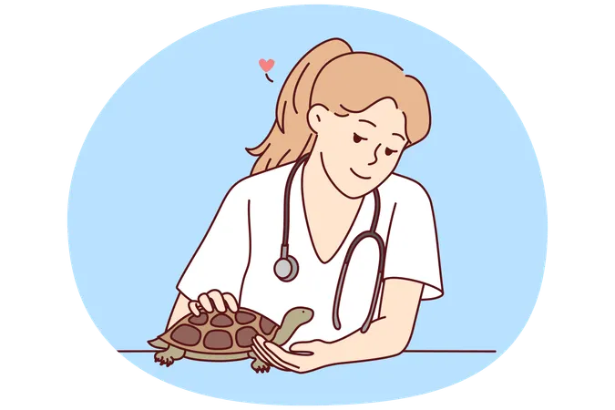 Female veterinarian take care of turtle  Illustration