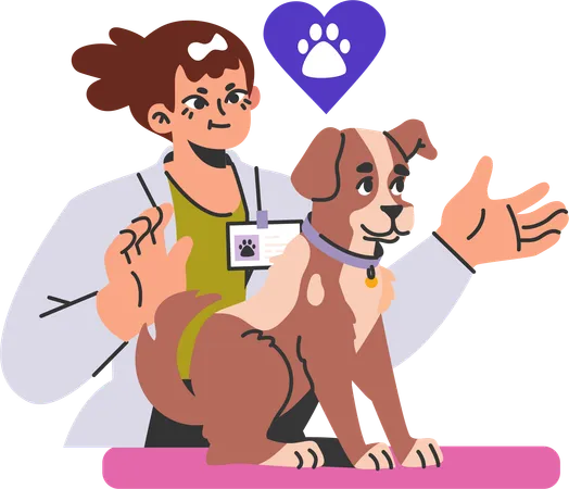 Female veterinary doctor checking and treating puppy  Illustration
