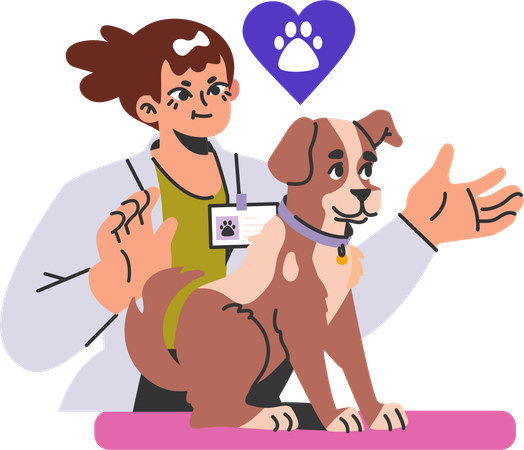 Female veterinary doctor checking and treating puppy  Illustration