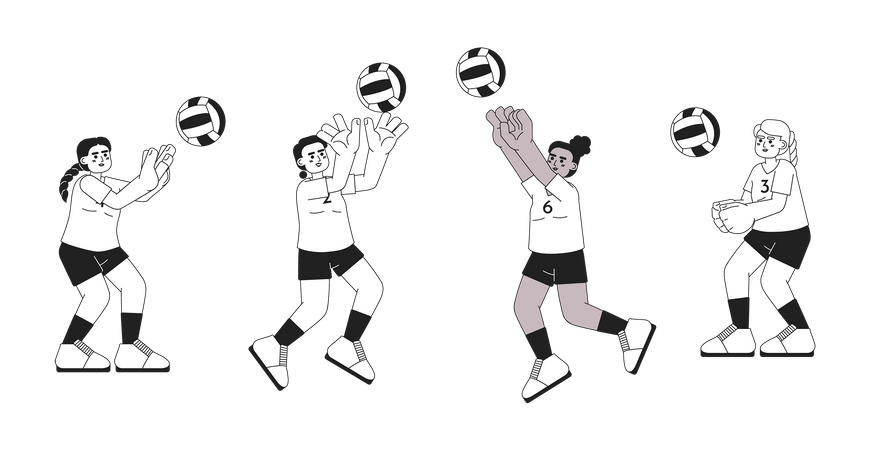 Female volleyball players  Illustration