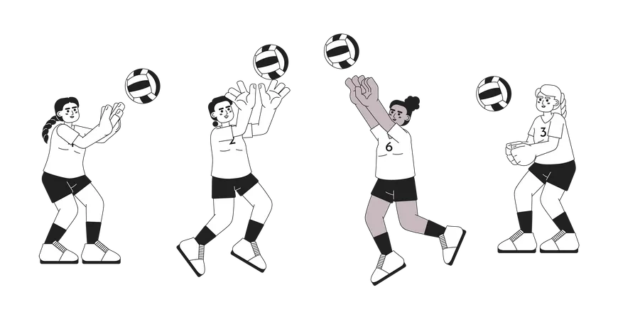 Female volleyball players  Illustration