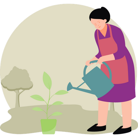 Female watering plants  Illustration