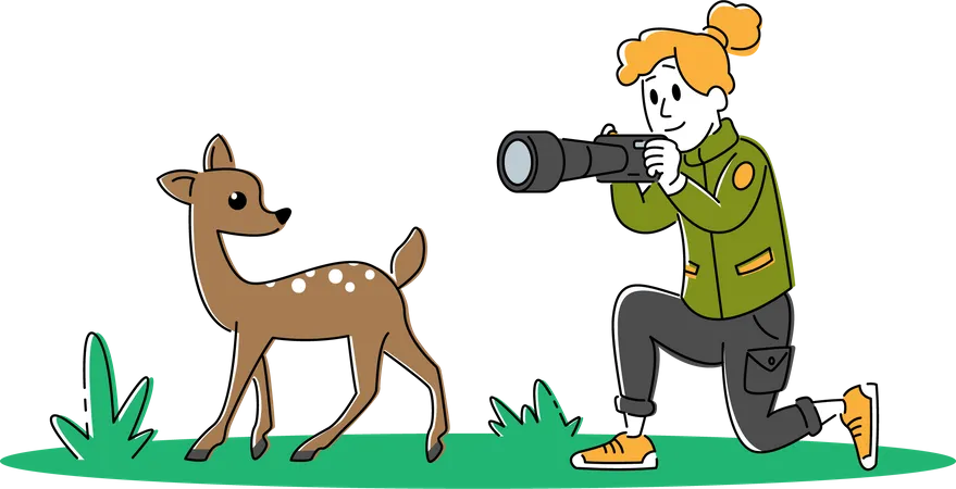 Female wildlife photographer clicking picture of a fawn  Illustration