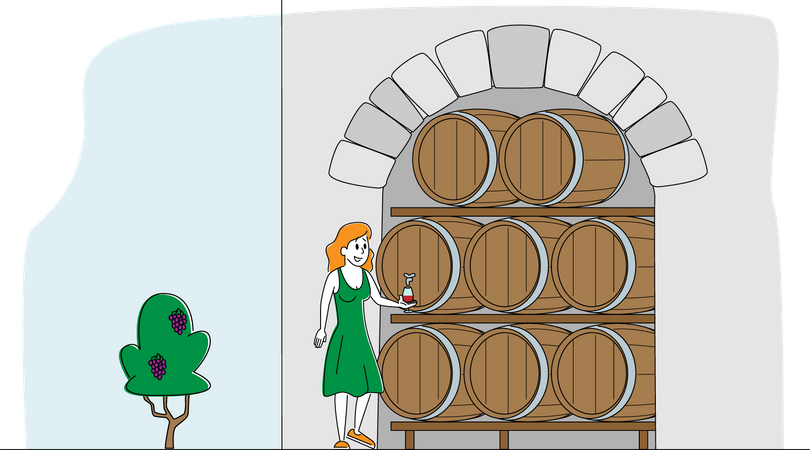 Female Winemaker Tasting Wine at Wine Cellar with Oak Barrels  Illustration