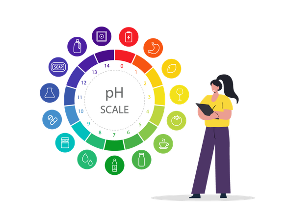 Female with Chart of values and balance level of ph  Illustration