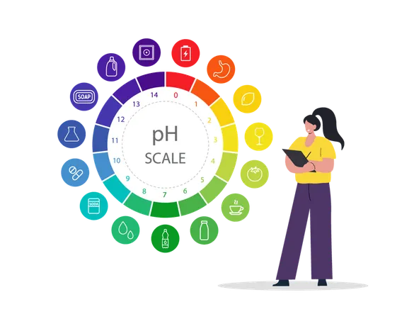 Female with Chart of values and balance level of ph  Illustration