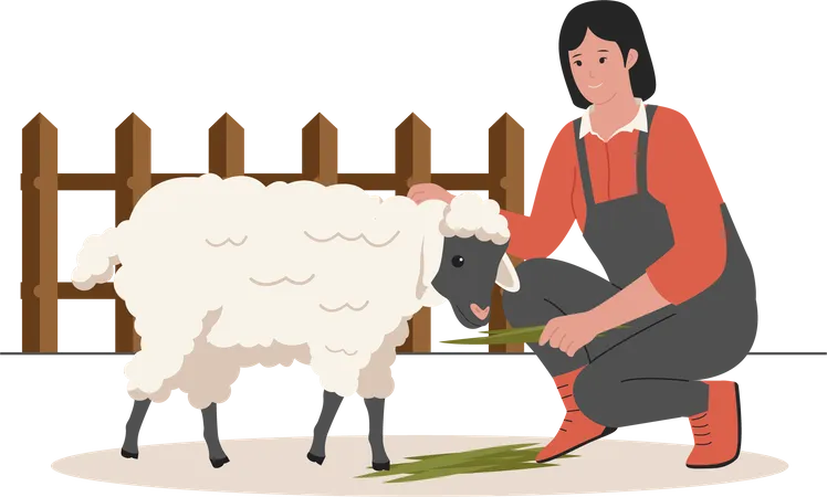 Female with sheep  Illustration