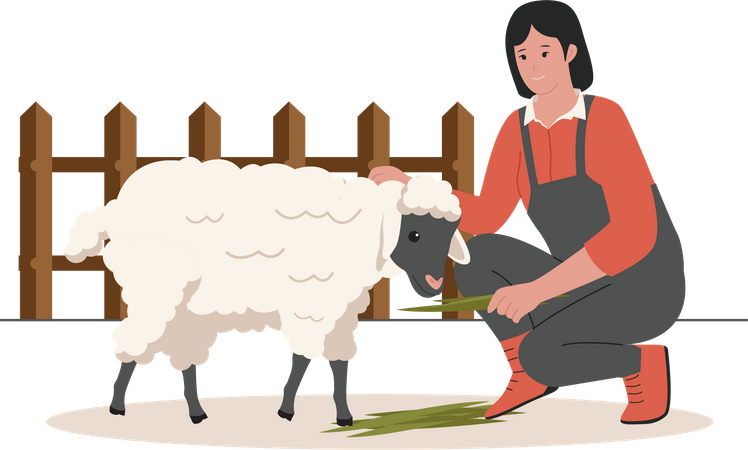 Female with sheep  Illustration