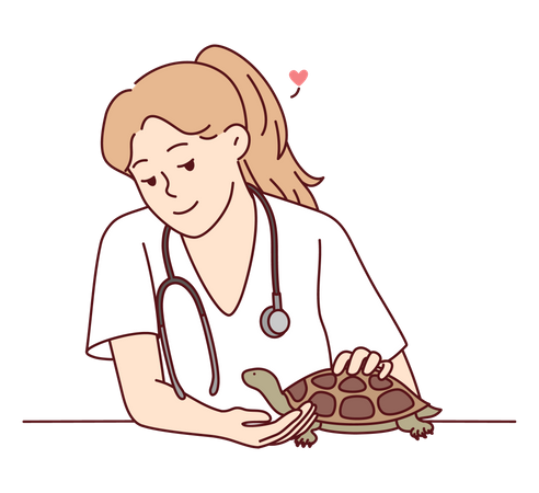 Veterinária feminina tratando tartaruga  Ilustração