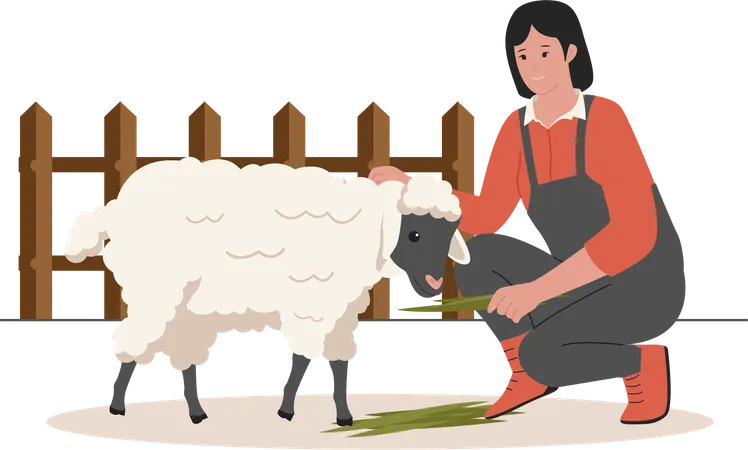 Femelle avec mouton  Illustration