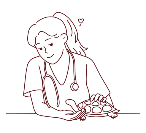 Vétérinaire féminine traitant une tortue  Illustration