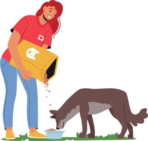 Une bénévole donne de la nourriture à un chien sans abri  Illustration