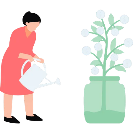 Femme arrosant une plante dollar  Illustration