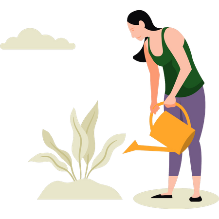 Femme arrosant une plante  Illustration