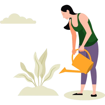 Femme arrosant une plante  Illustration