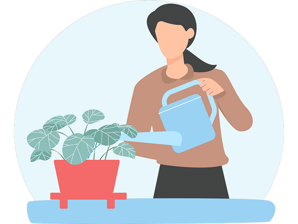 Femme arrosant une plante  Illustration