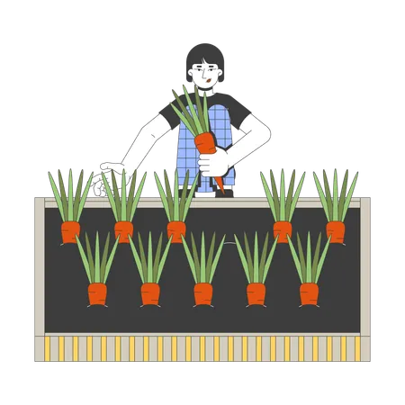 Une femme asiatique récolte des carottes fraîches dans un jardin surélevé  Illustration