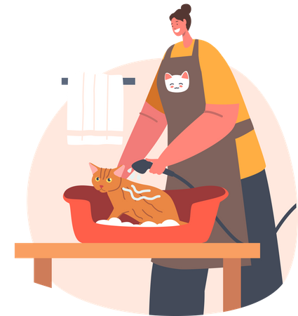 Femme baignant un chat fournissant un service de toilettage pour animaux de compagnie  Illustration