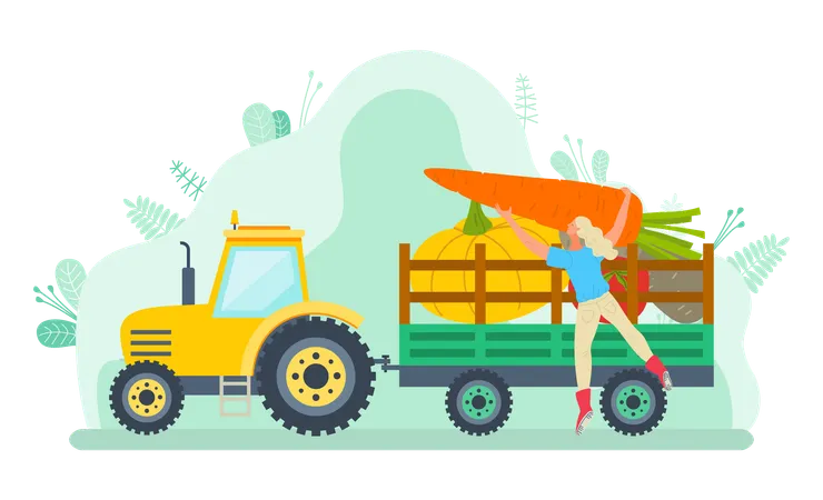 Une femme charge des fruits de jardinage dans un camion  Illustration