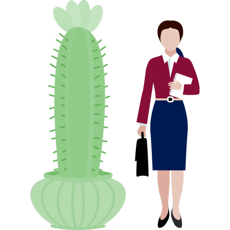 Une employée de bureau montre une plante de cactus Mamillaria  Illustration