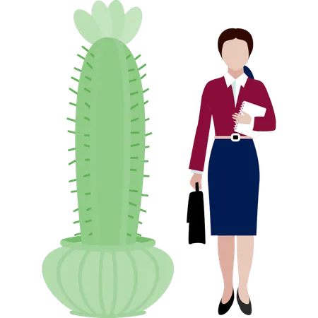 Une employée de bureau montre une plante de cactus Mamillaria  Illustration