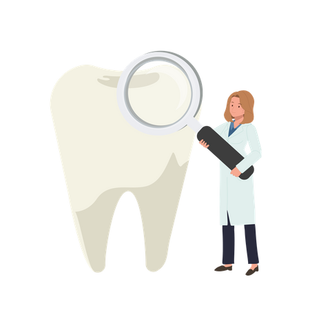 Une dentiste examine les dents  Illustration