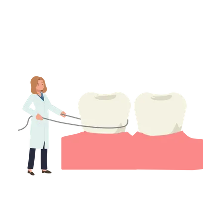 Femme dentiste montrant comment utiliser le fil dentaire  Illustration