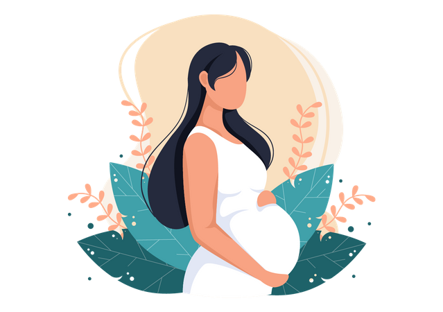 Femme enceinte  Illustration