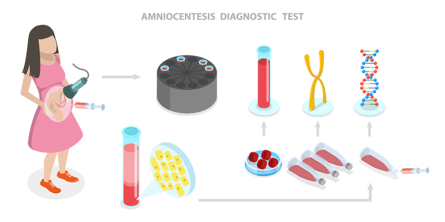 Bilan de santé de la femme enceinte  Illustration