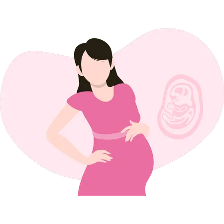 La femme enceinte est debout  Illustration