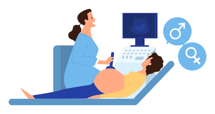 Femme enceinte effectuant une échographie à l'hôpital gynécologue  Illustration