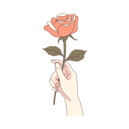 Main de femme esthétique tenant une belle fleur de rose florale  Illustration