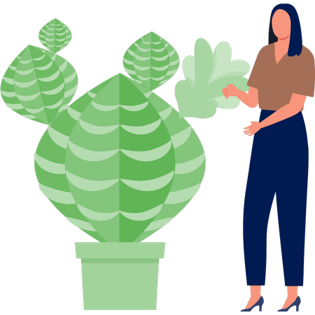 Femme expliquant la plante de chou  Illustration