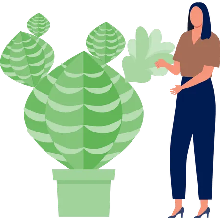 Femme expliquant la plante de chou  Illustration