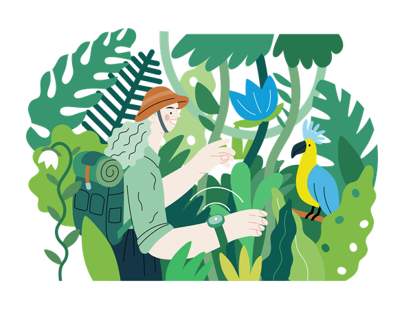 Femme explorant la jungle et les oiseaux sauvages dans l'arbre  Illustration