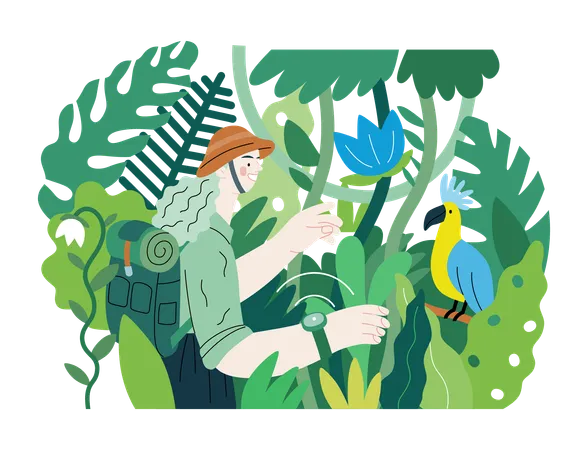 Femme explorant la jungle et les oiseaux sauvages dans l'arbre  Illustration