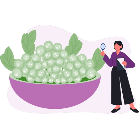 Femme faisant des recherches sur le raisin  Illustration