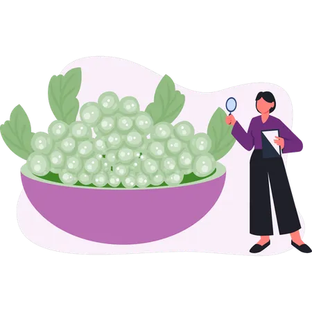 Femme faisant des recherches sur le raisin  Illustration