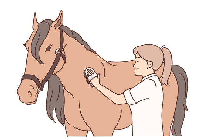 Femme grattant la brosse sur la peau de cheval  Illustration